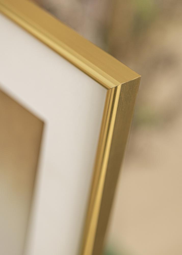 Walther Rahmen Galeria Gold 70x100 cm